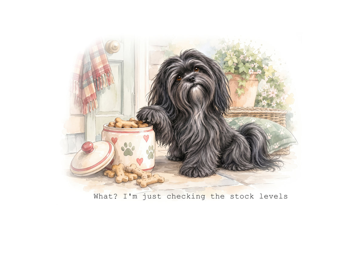 Lhasa Apso Calendar 2027 Limited Release