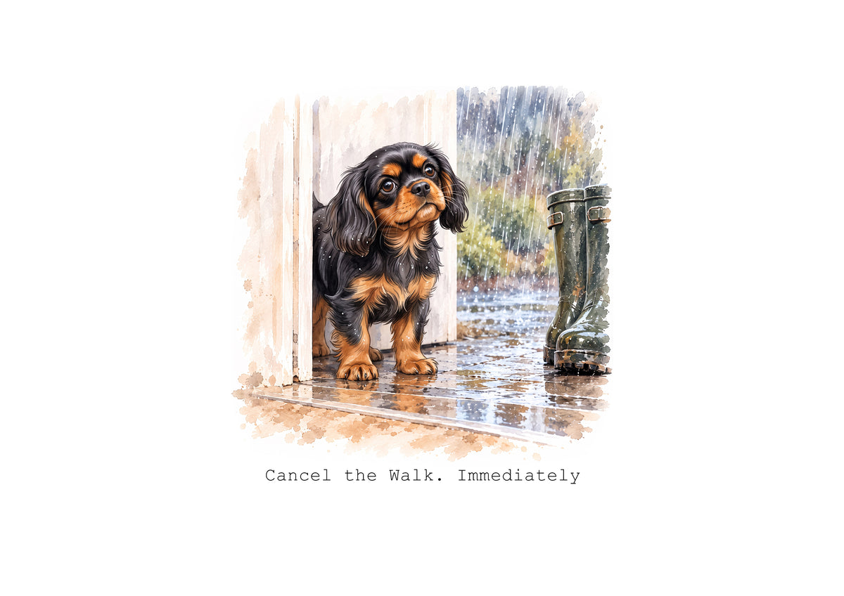 Cavalier King Charles Spaniels Calendar Limited Release