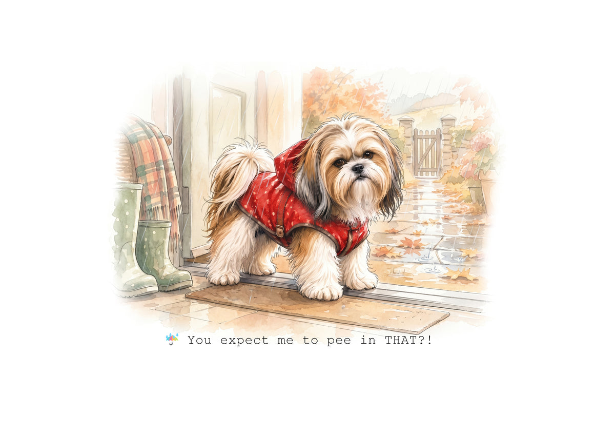 Lhasa Apso Calendar 2027 Limited Release