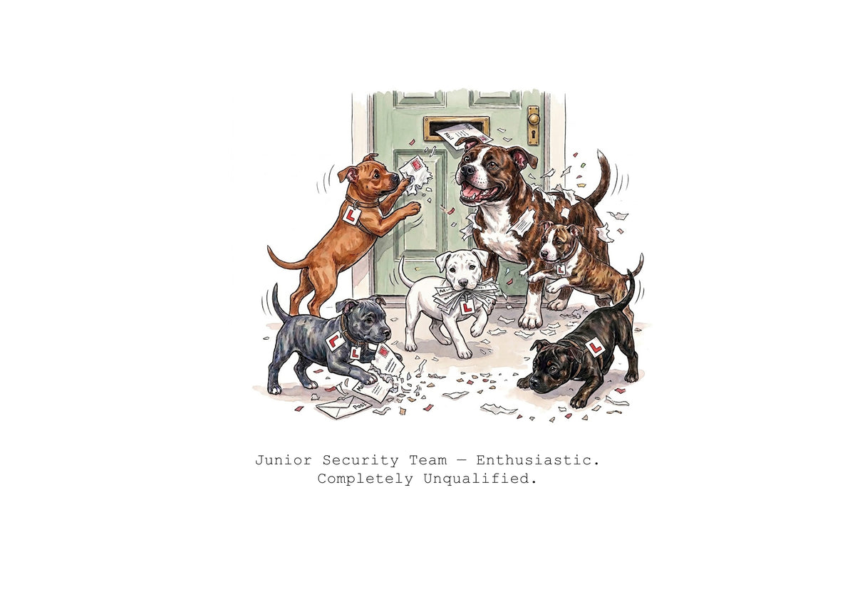 Absolutely Staffied Calendar Limited Release