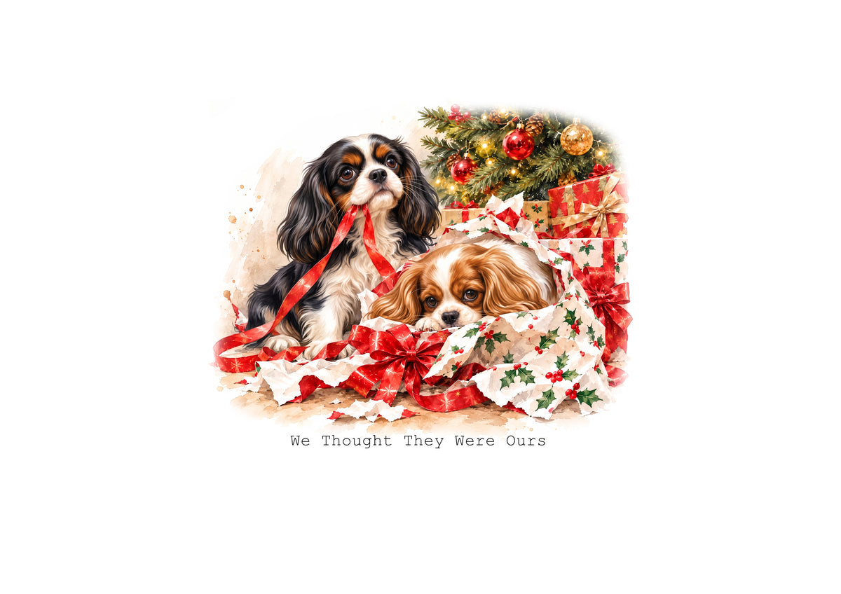 Cavalier King Charles Spaniels Calendar Limited Release