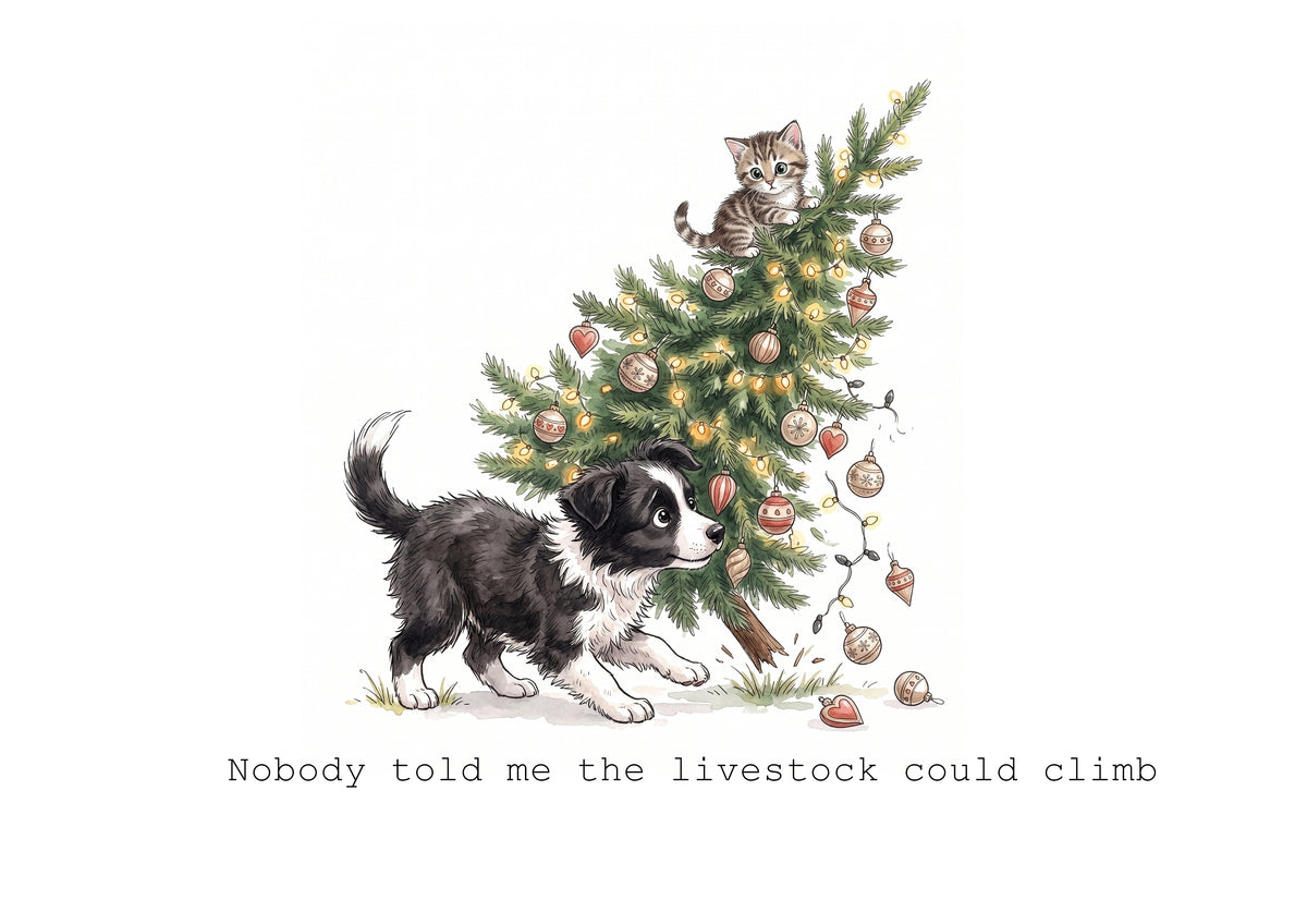 Collie Wobbles Calendar Limited Release