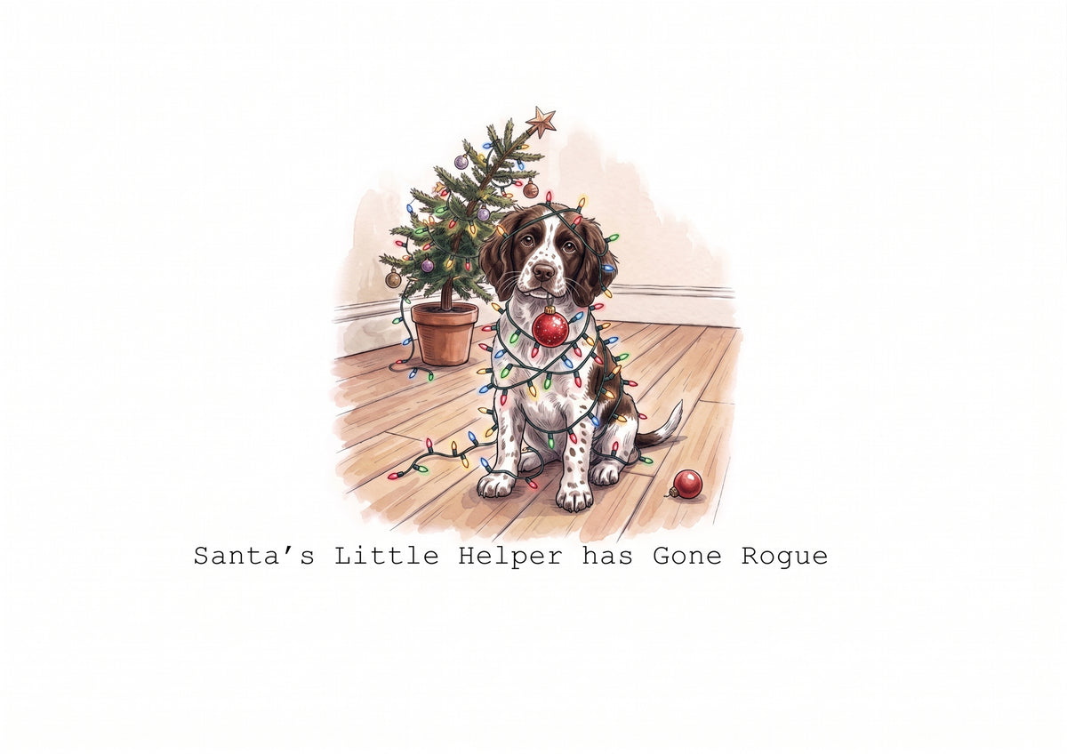 Spring into Spaniels Calendar Limited Release