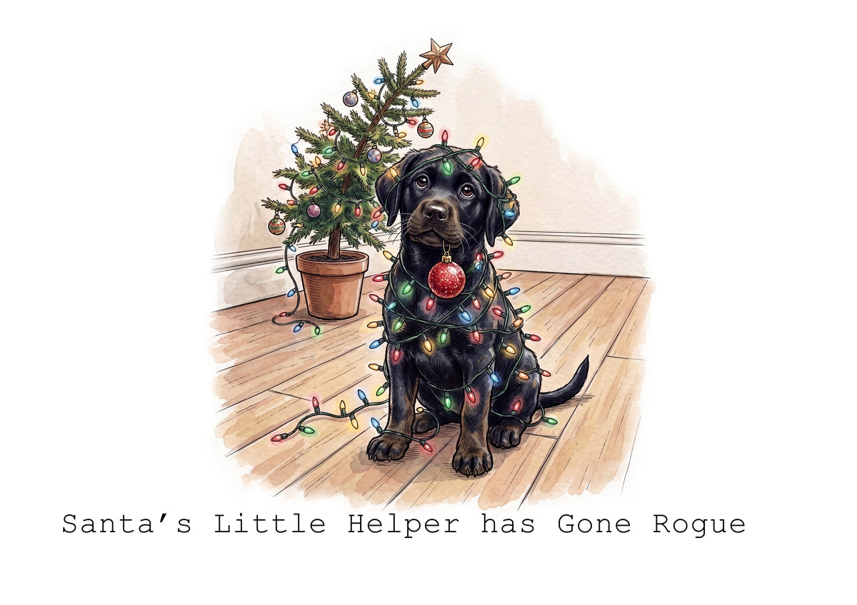 A Labradors Life Calendar Limited Release