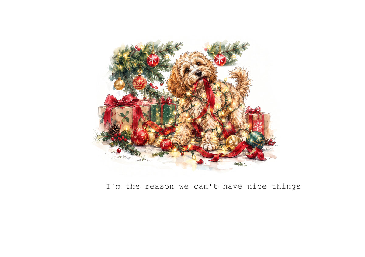 Cavapoo Calendar 2027 Limited Release