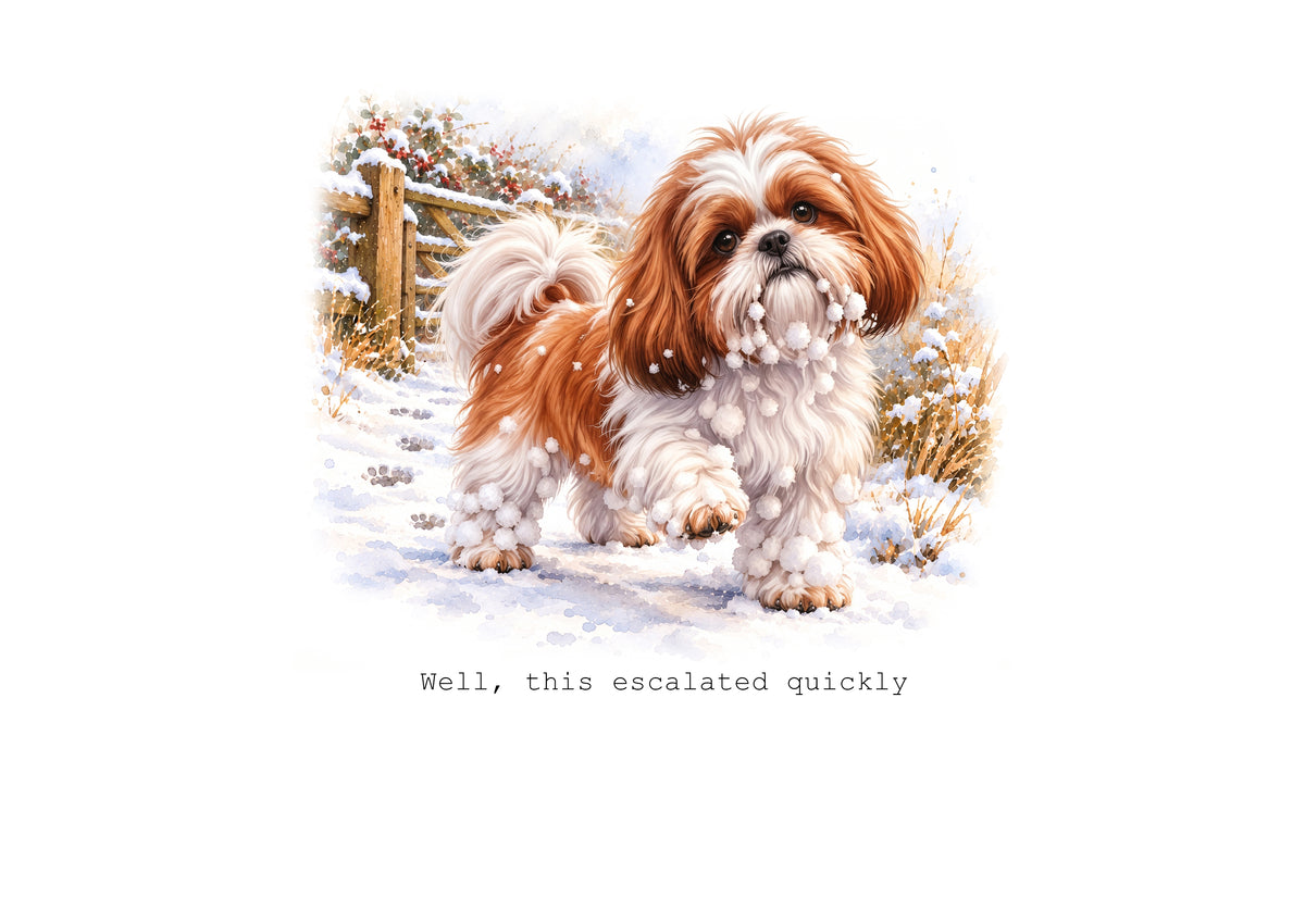 Shih Tzu Calendar Limited Release