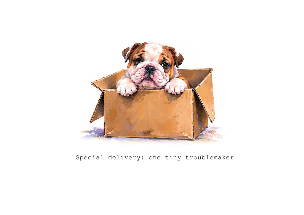Absolutely Bulldogged Calendar Limited Release