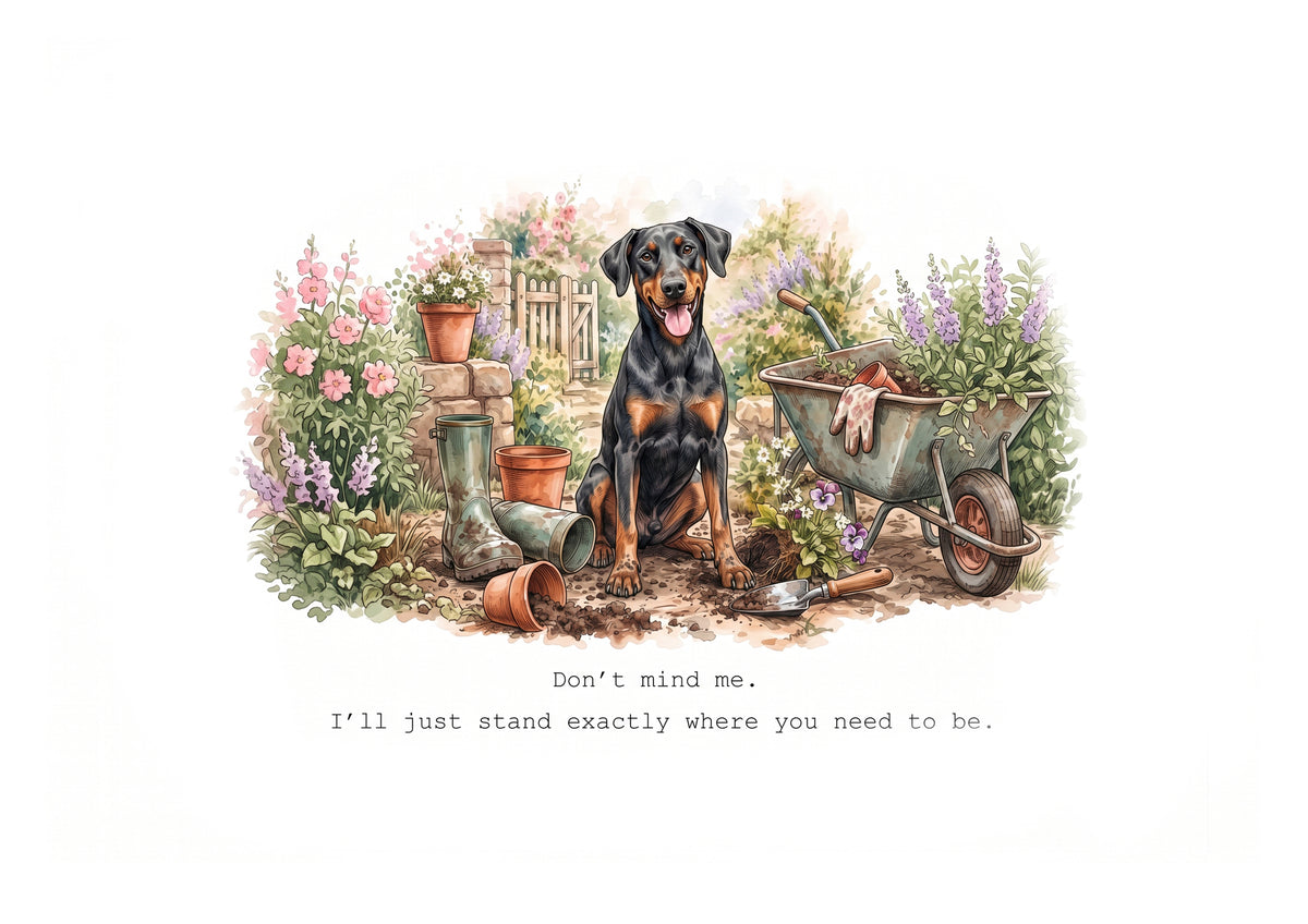 Doberman Calendar 2027 Limited Release