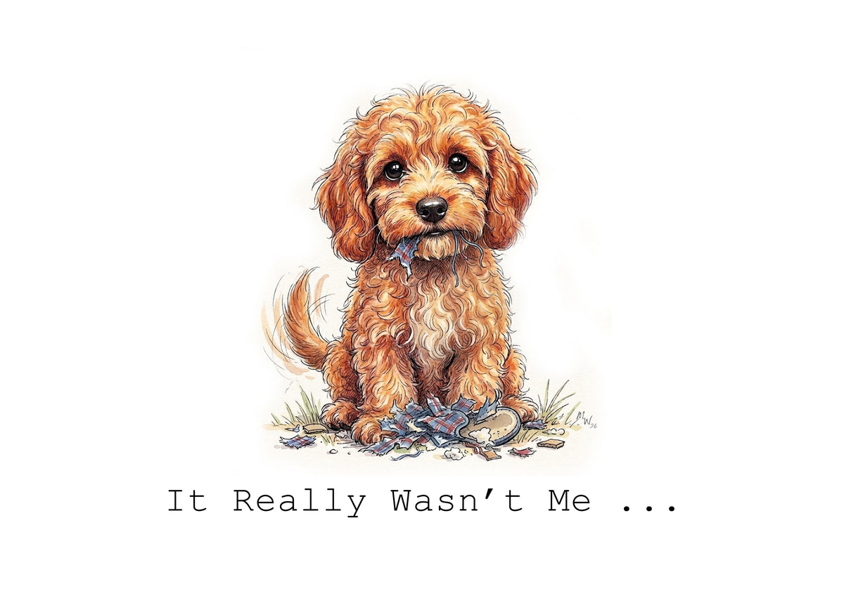 Cockapoo Cuddles Calendar Limited Release
