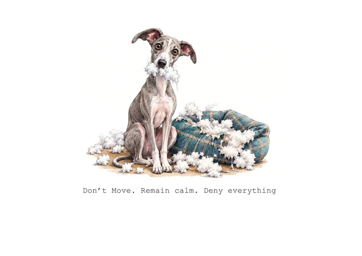 Whippet Calendar Limited Release