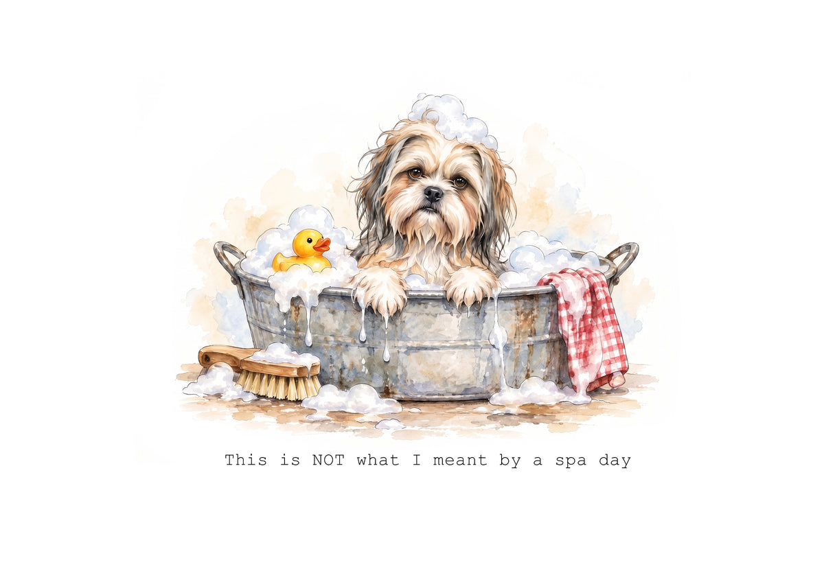 Lhasa Apso Calendar 2027 Limited Release