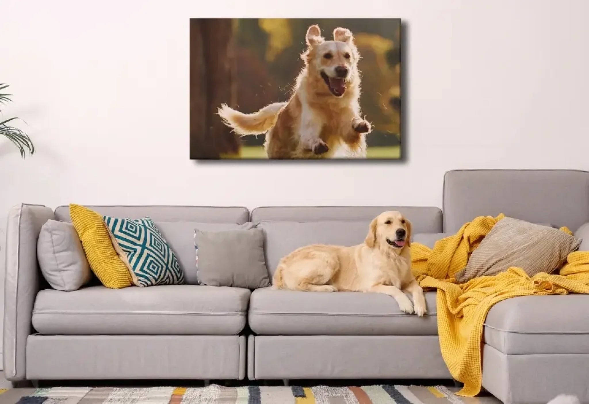 660e698d7d056_684a5a95-3cc6-4c99-8db2-209f2513c52b