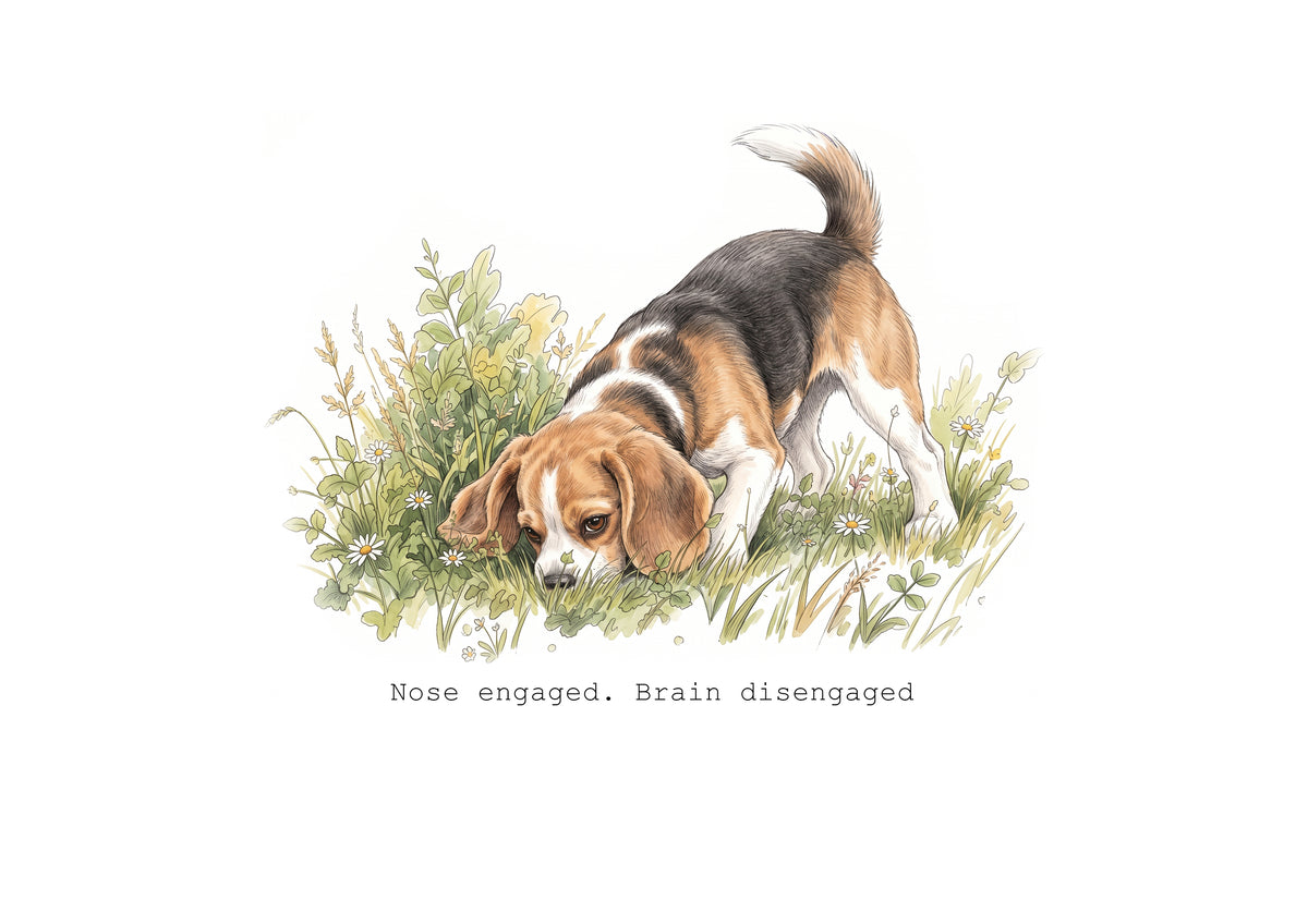Beagle Calendar 2027 Limited Release