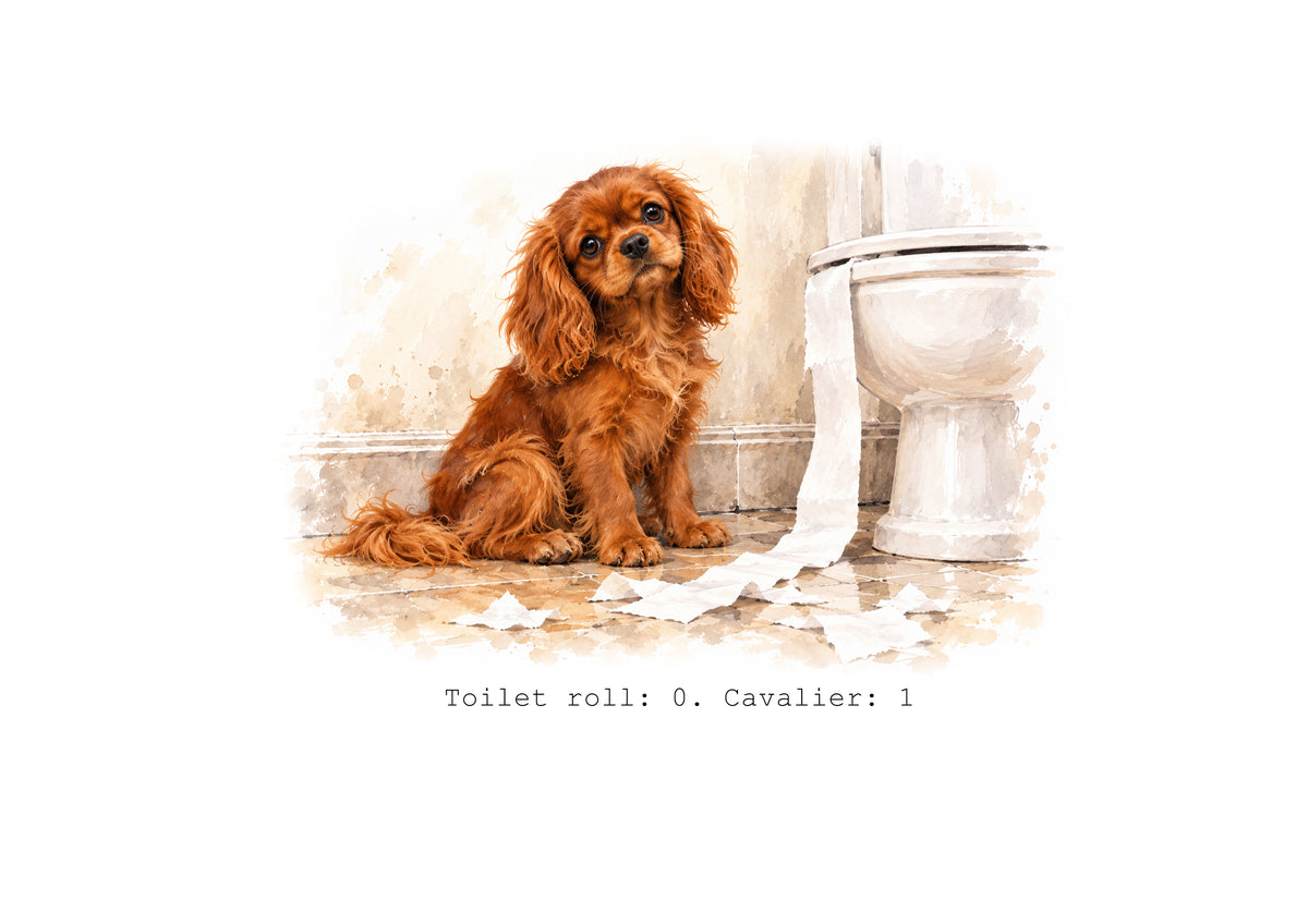 Cavalier King Charles Spaniels Calendar Limited Release