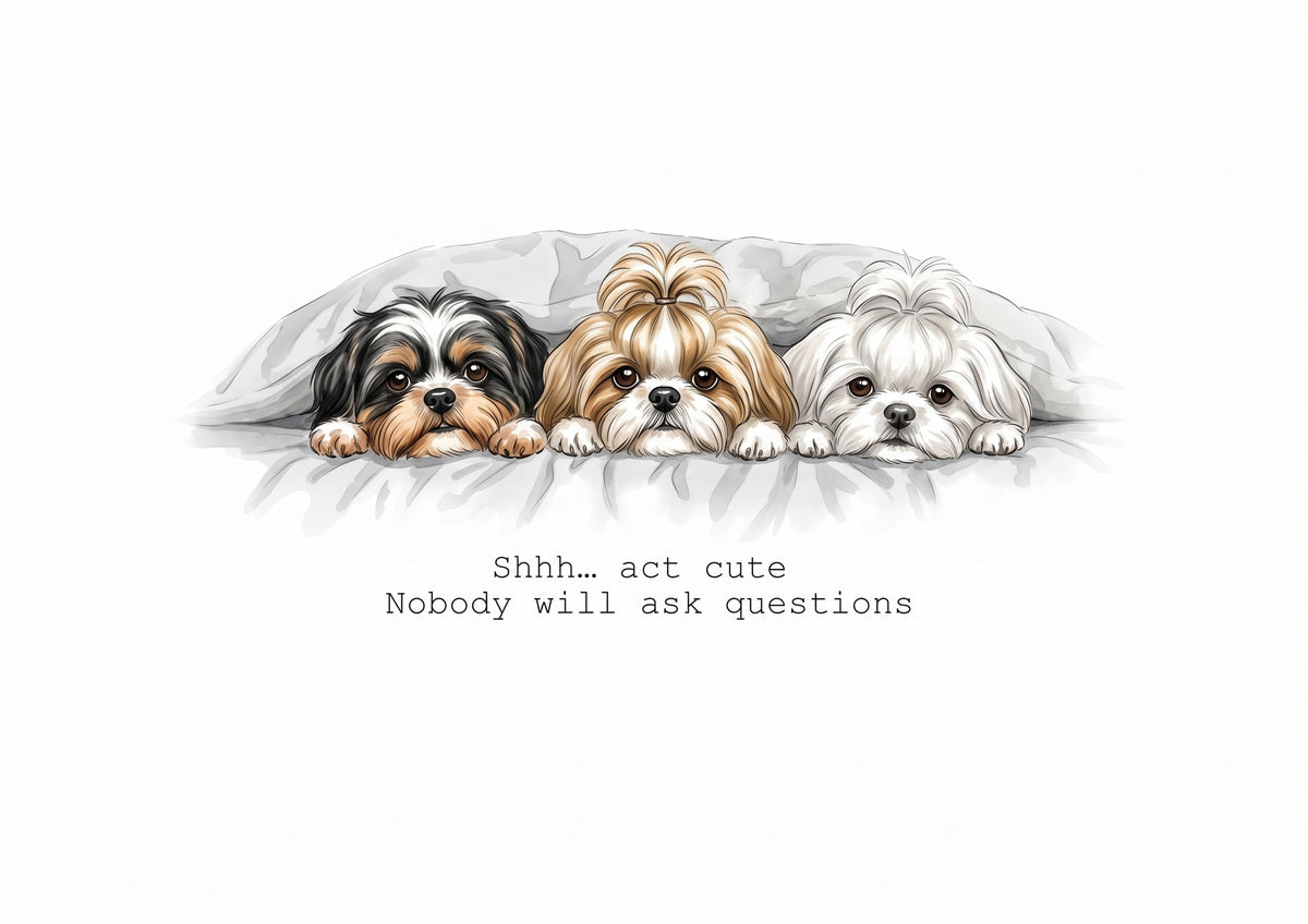 Shih Tzu Calendar Limited Release