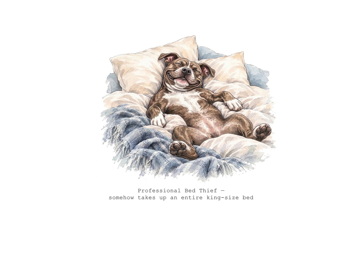 Absolutely Staffied Calendar Limited Release