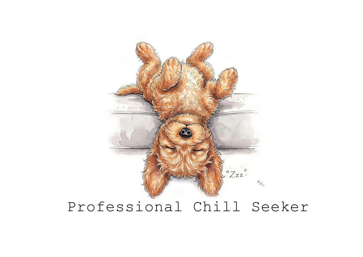 Cockapoo Cuddles Calendar Limited Release