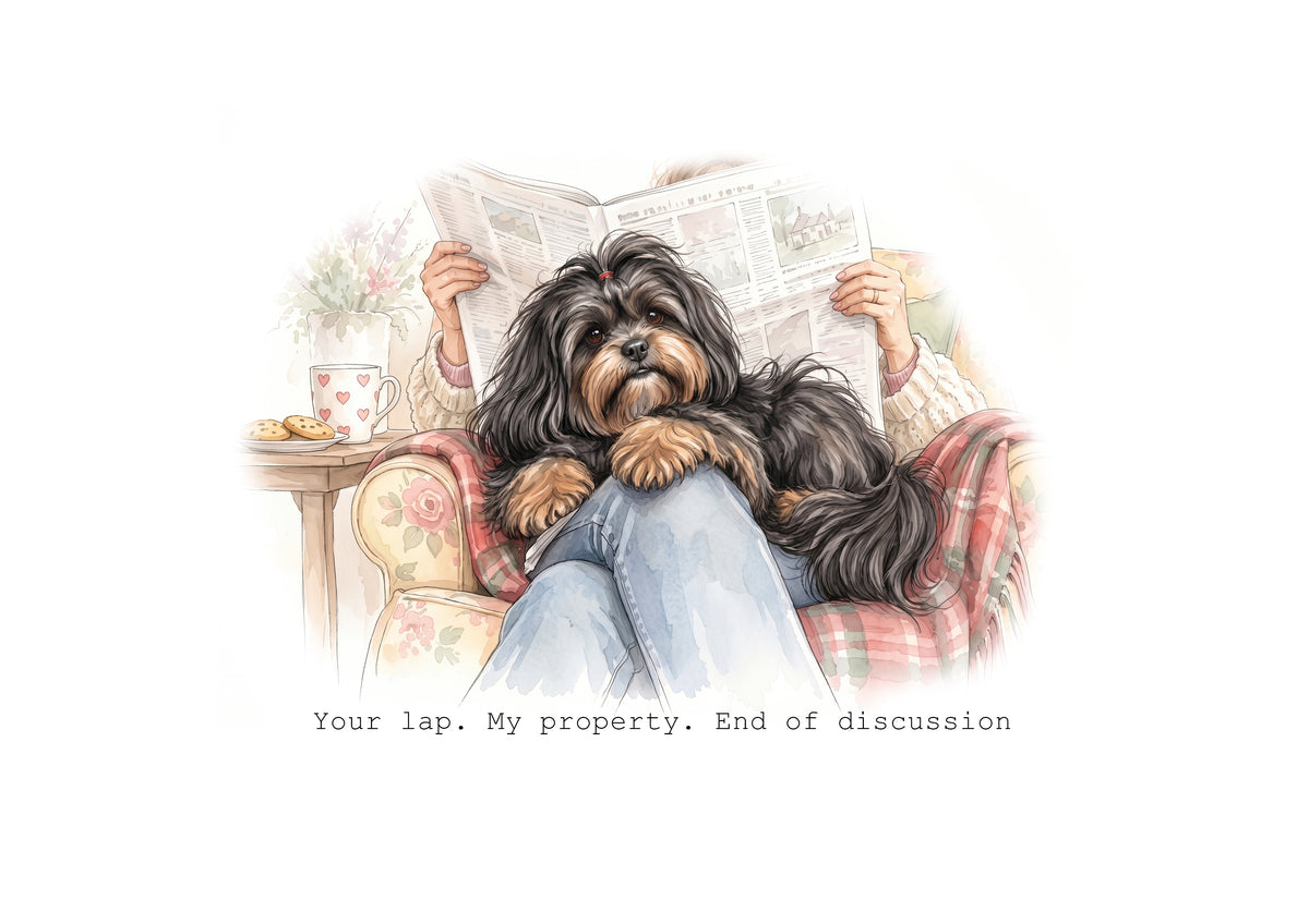 Lhasa Apso Calendar 2027 Limited Release