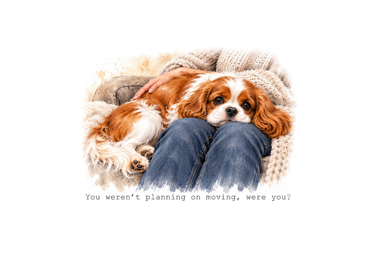 Cavalier King Charles Spaniels Calendar Limited Release