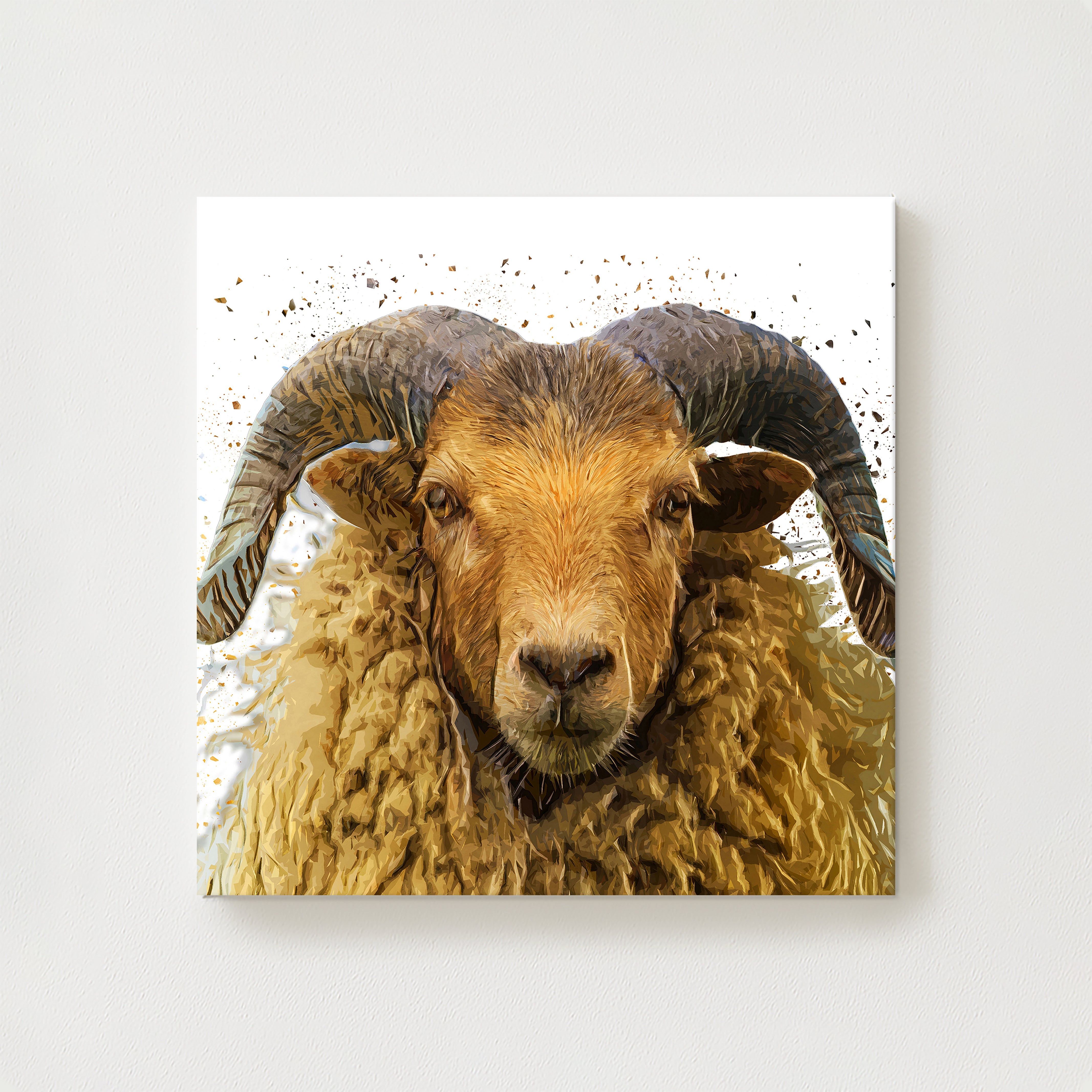 Arran Ram Canvas