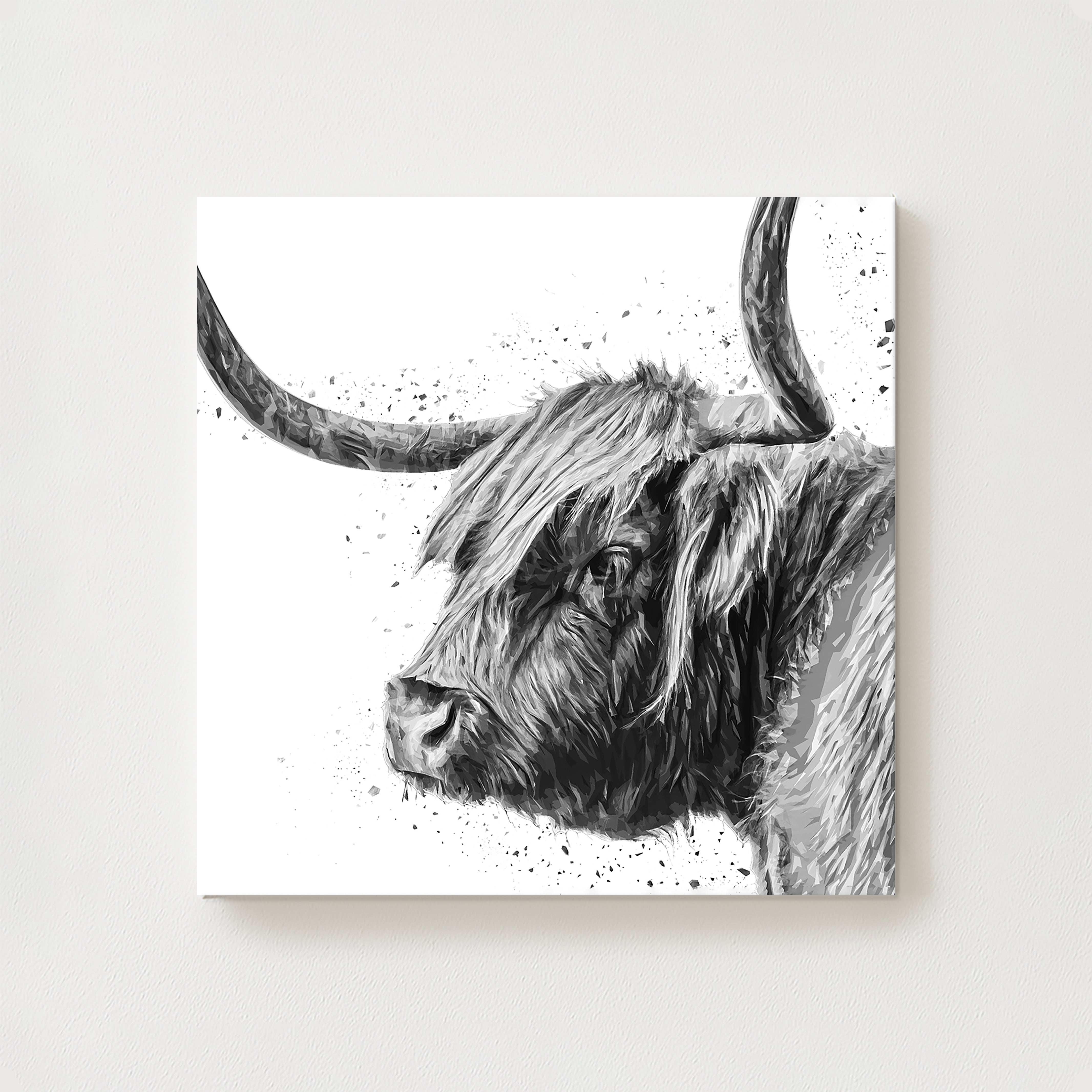 Cal Canvas