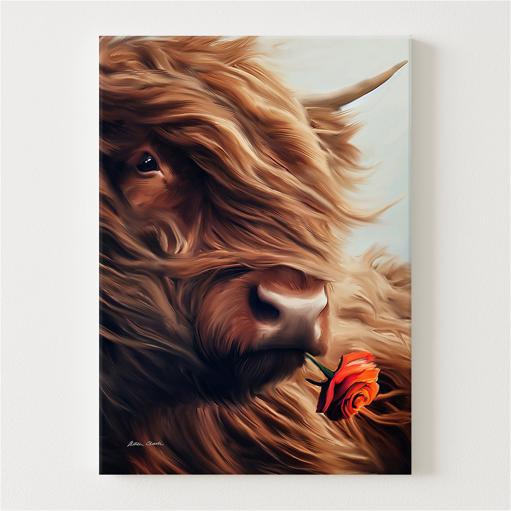 Highland Rose Canvas