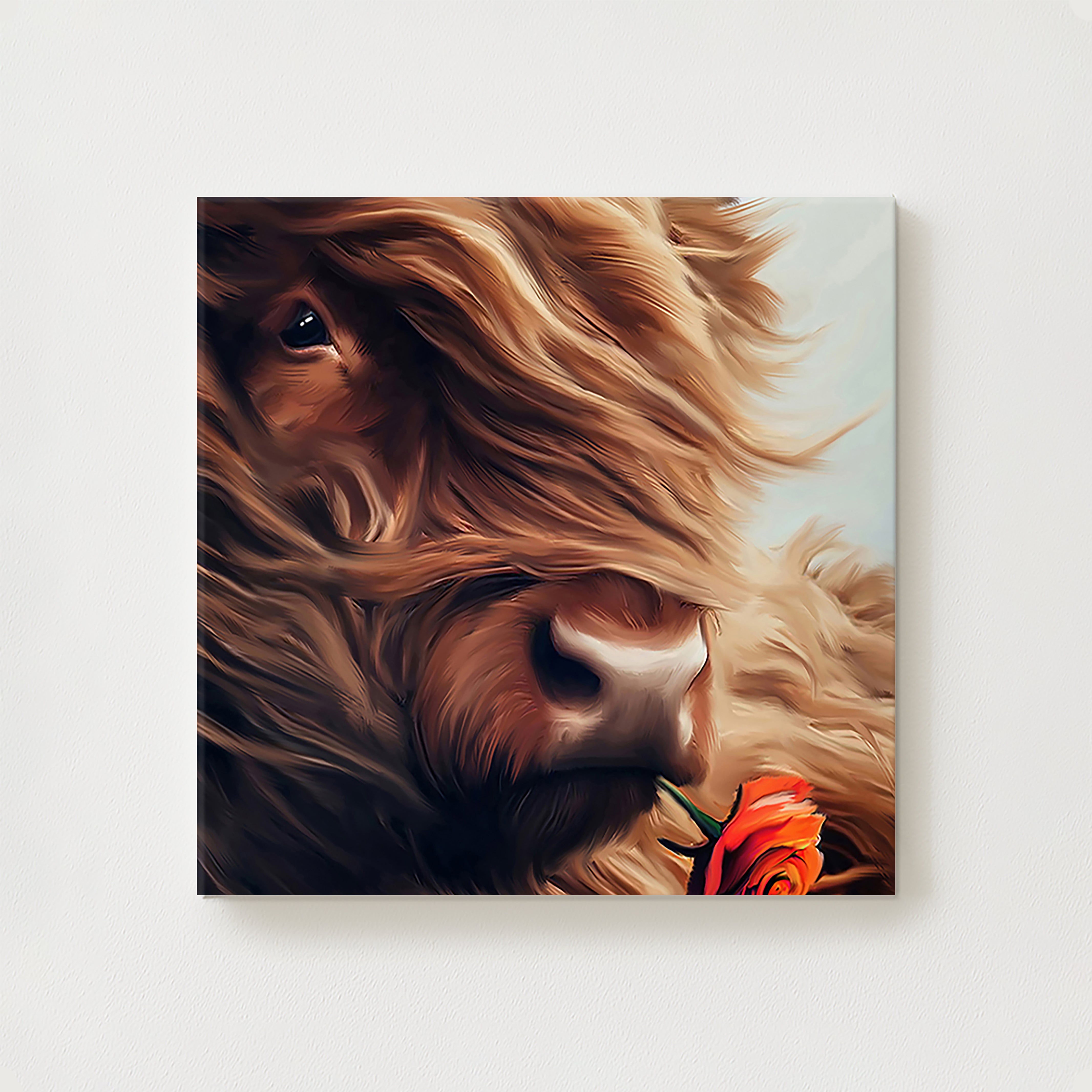 Highland Rose Canvas