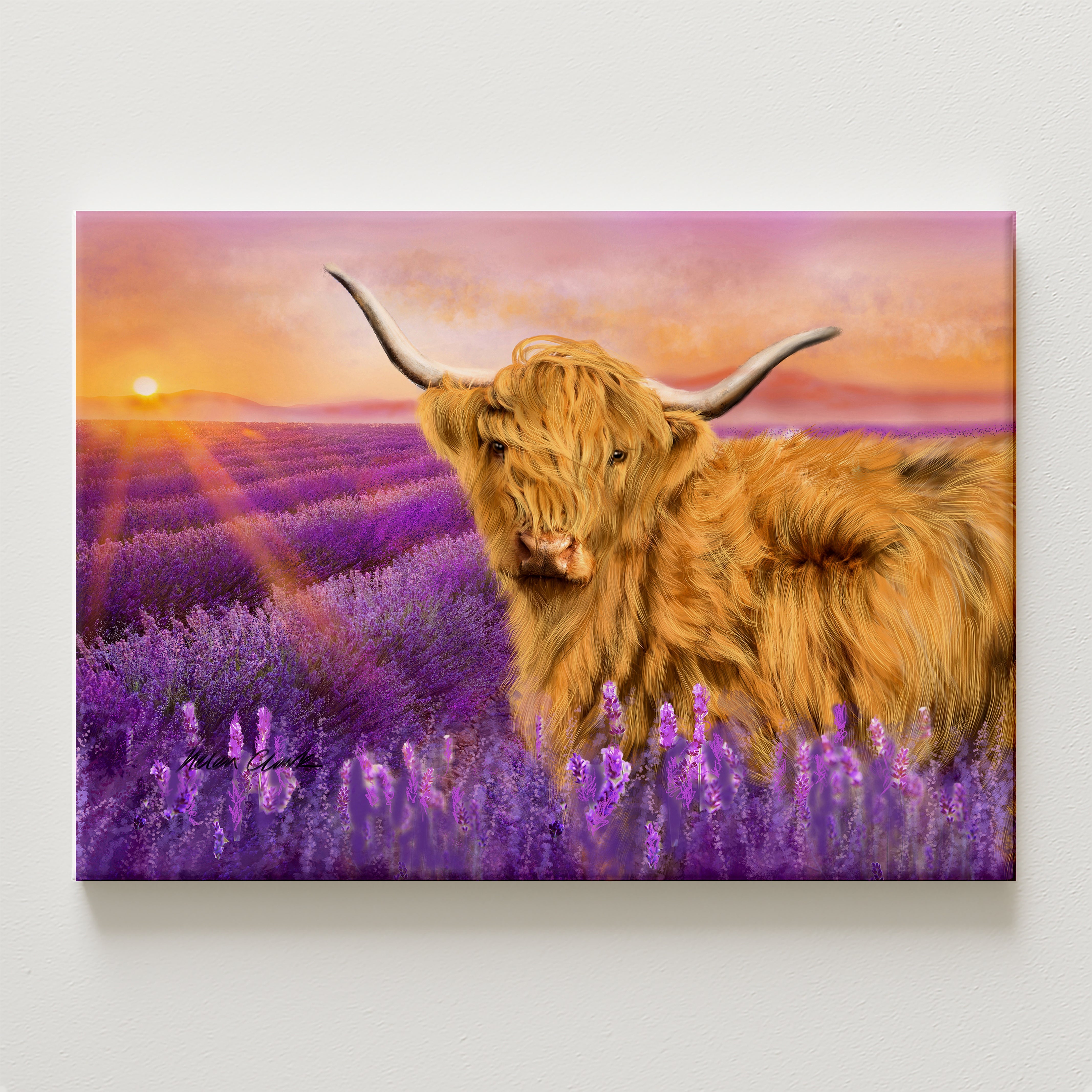 Lavender Canvas