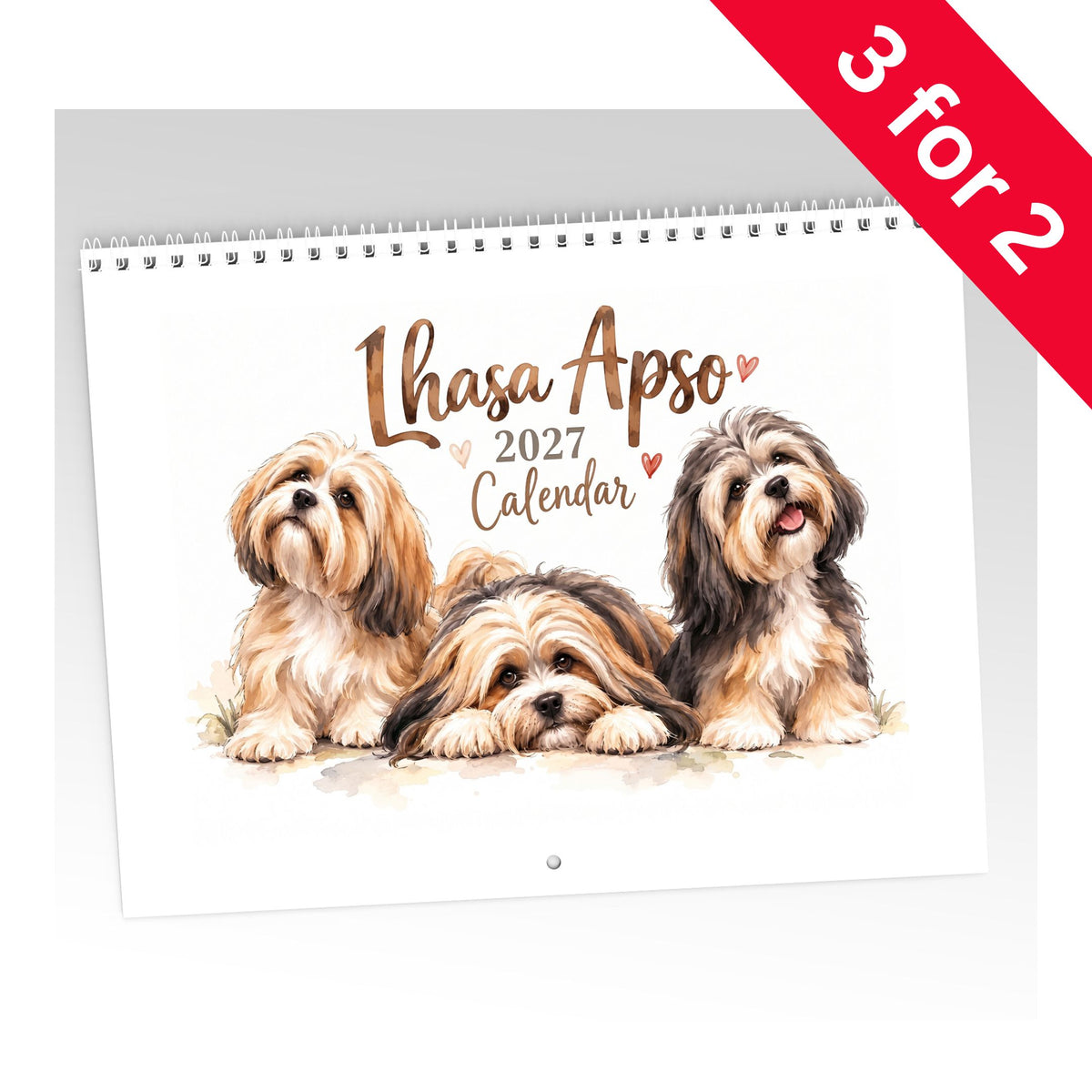 Lhasa Apso Calendar 2027 Limited Release
