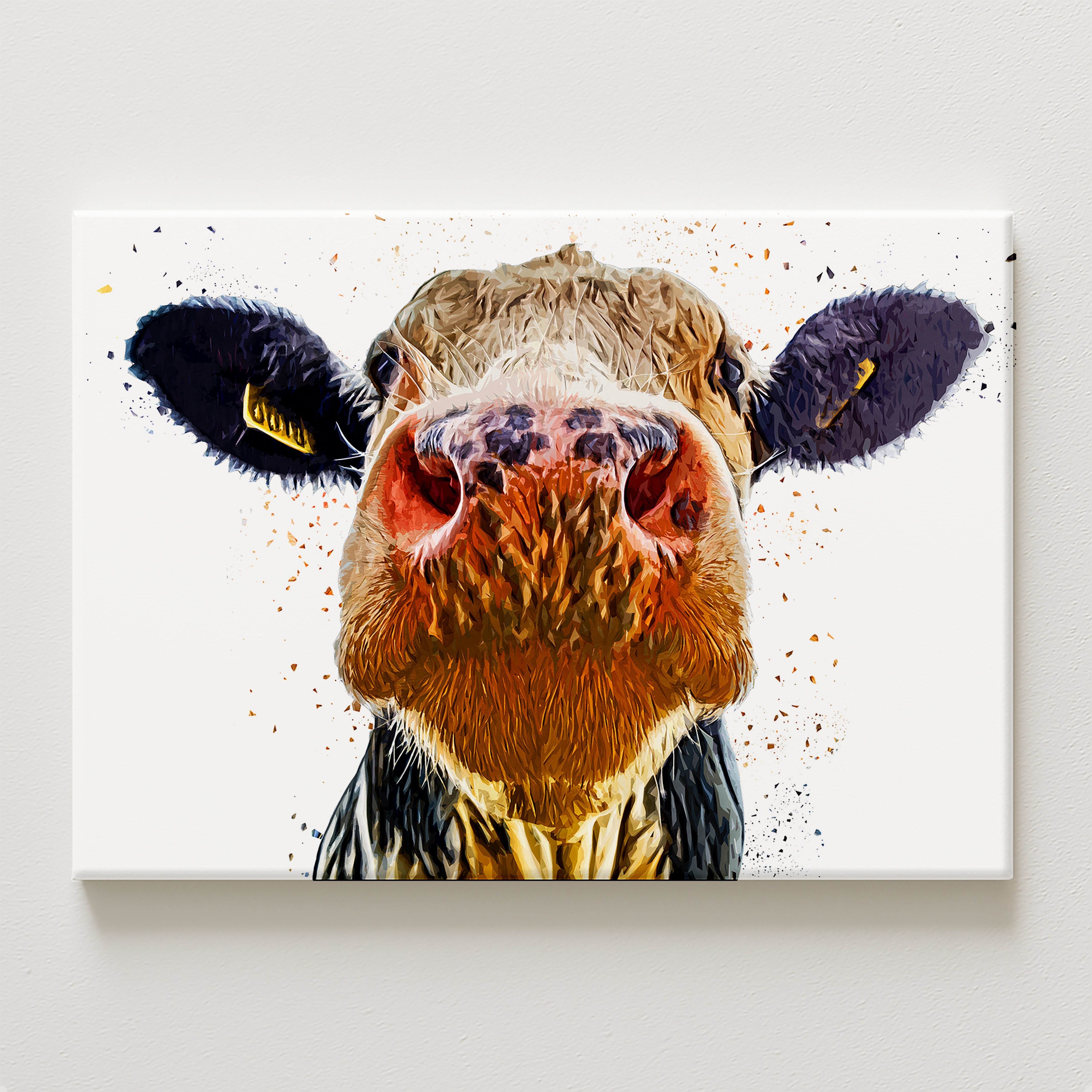 Nosey Canvas