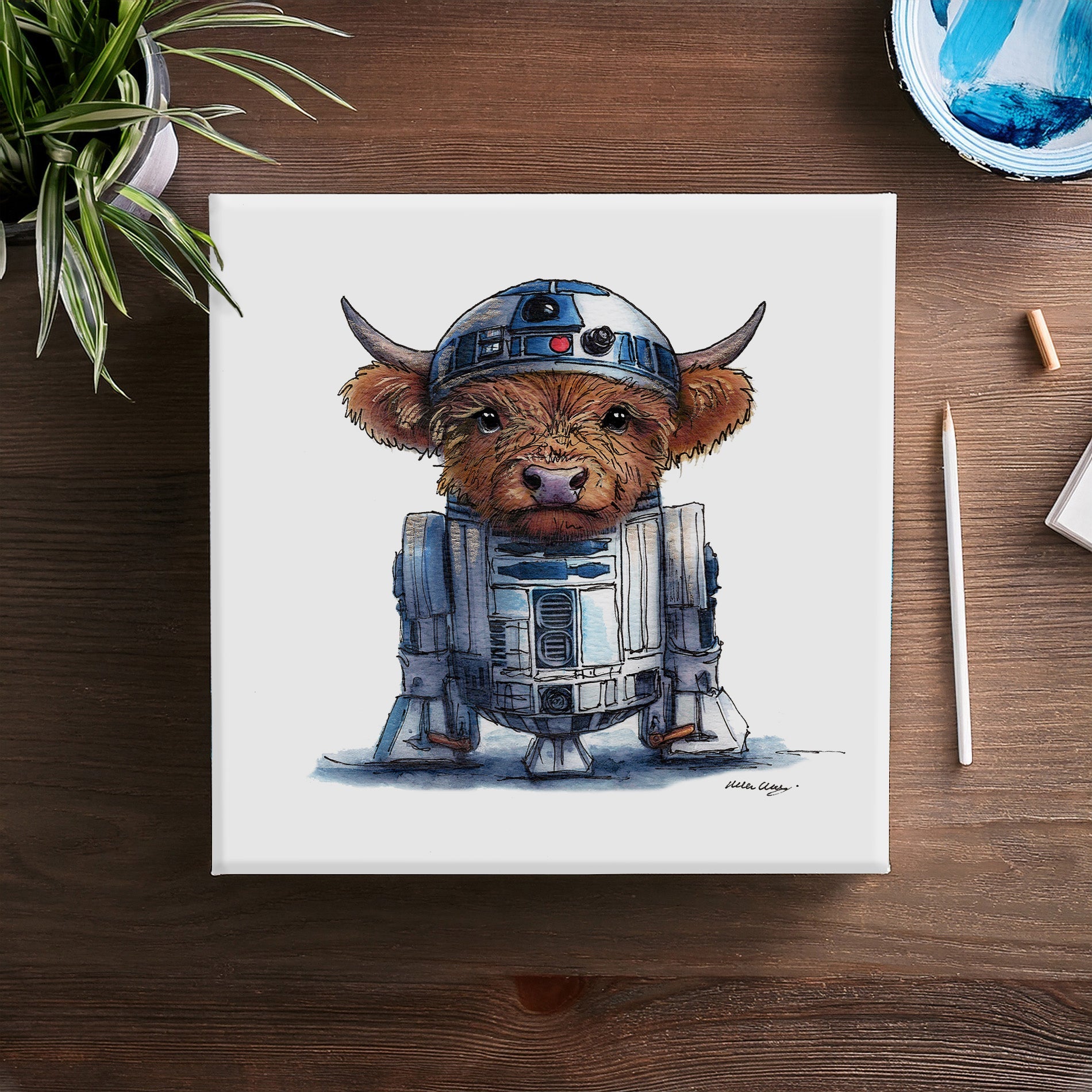RCooDCoo Canvas