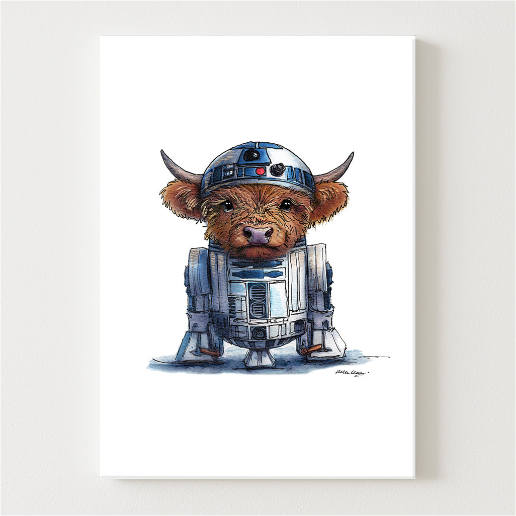 RCooDCoo Canvas