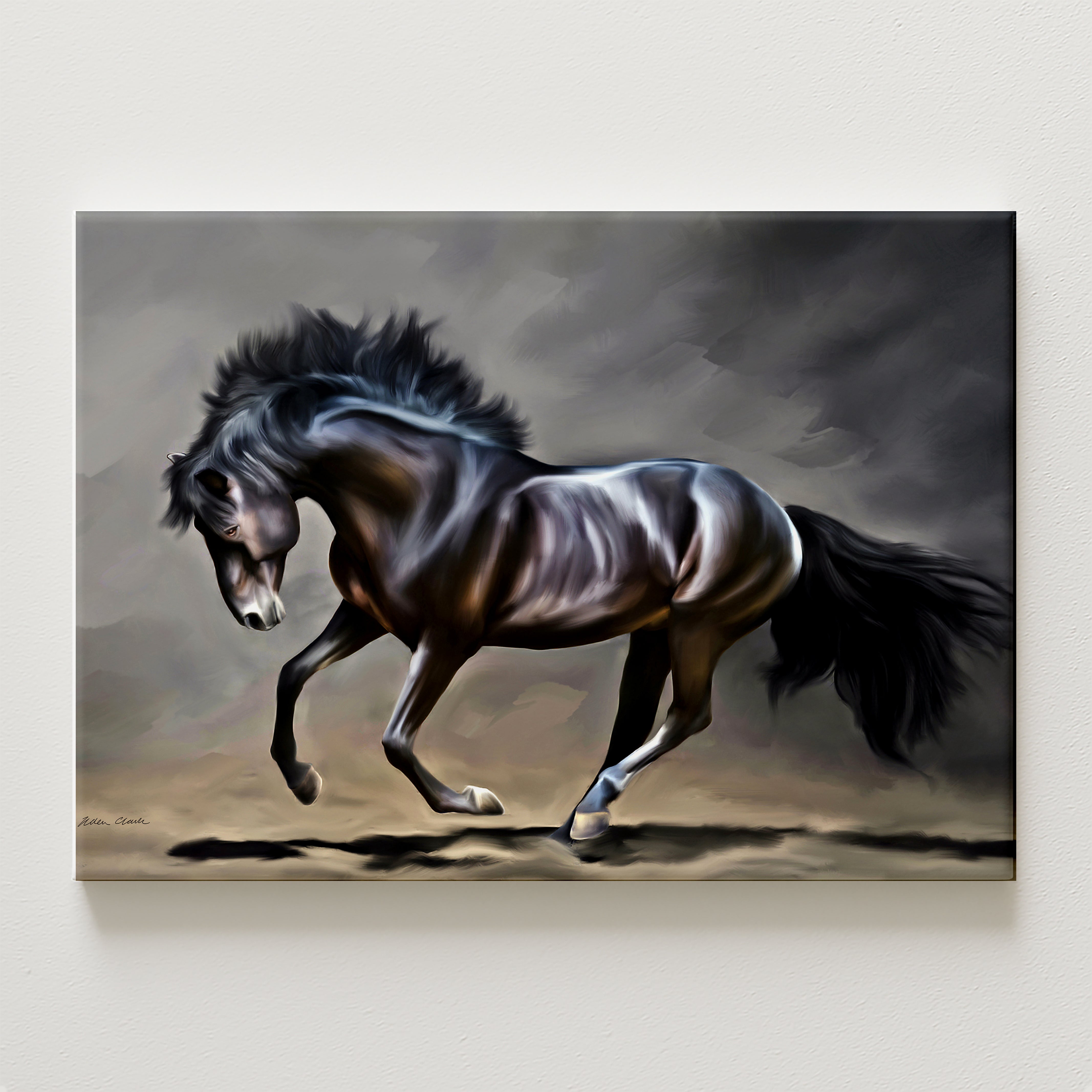 Stallion Canvas