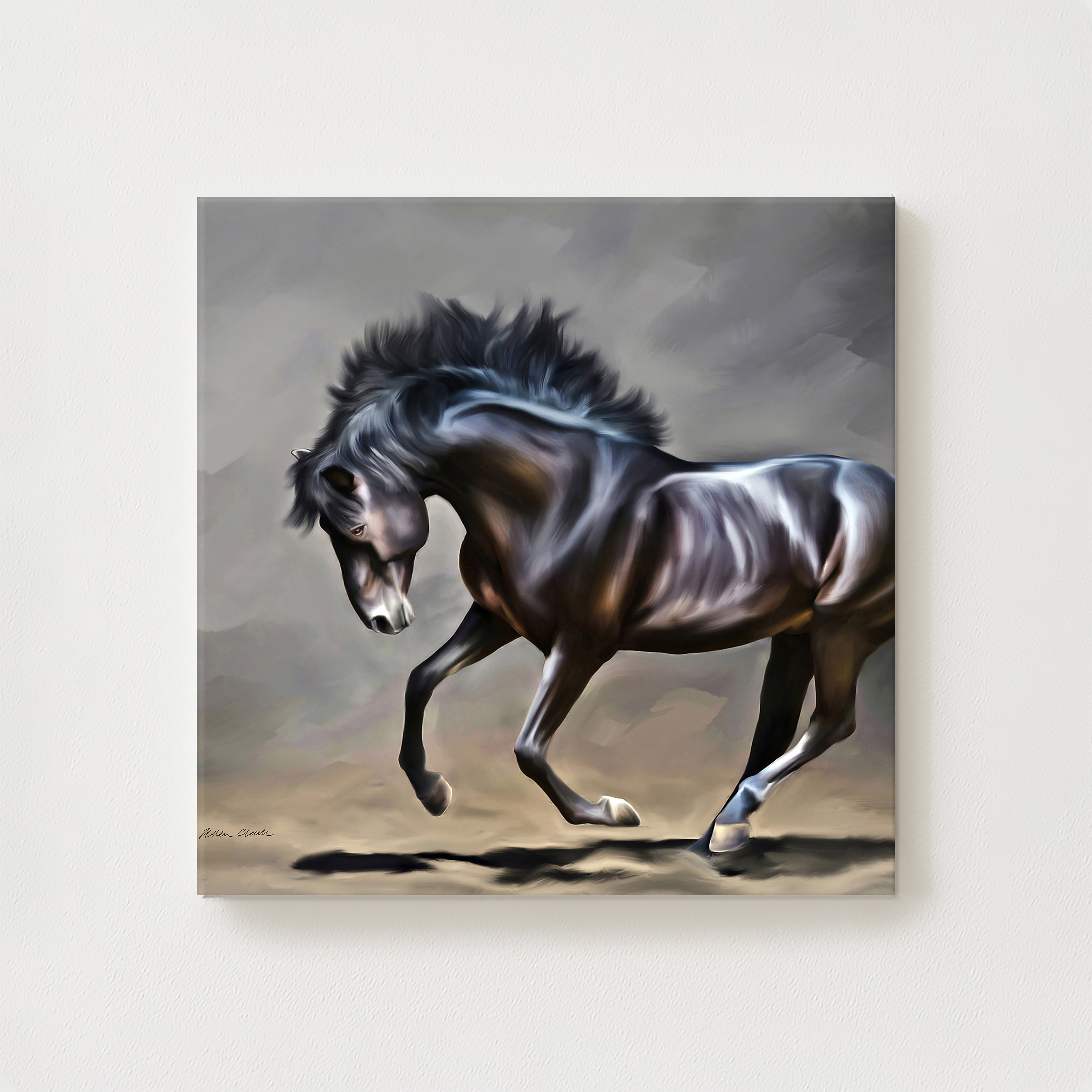 Stallion Canvas
