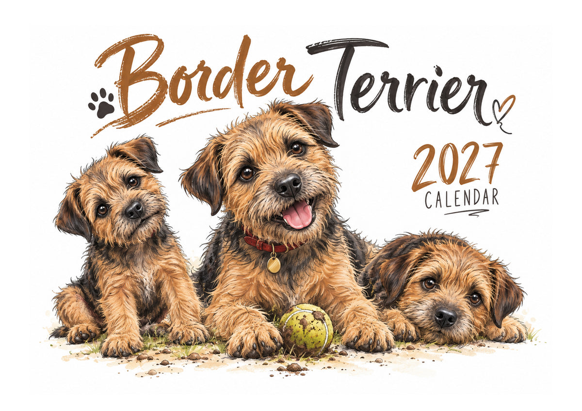 Border Terrier Calendar Limited Release