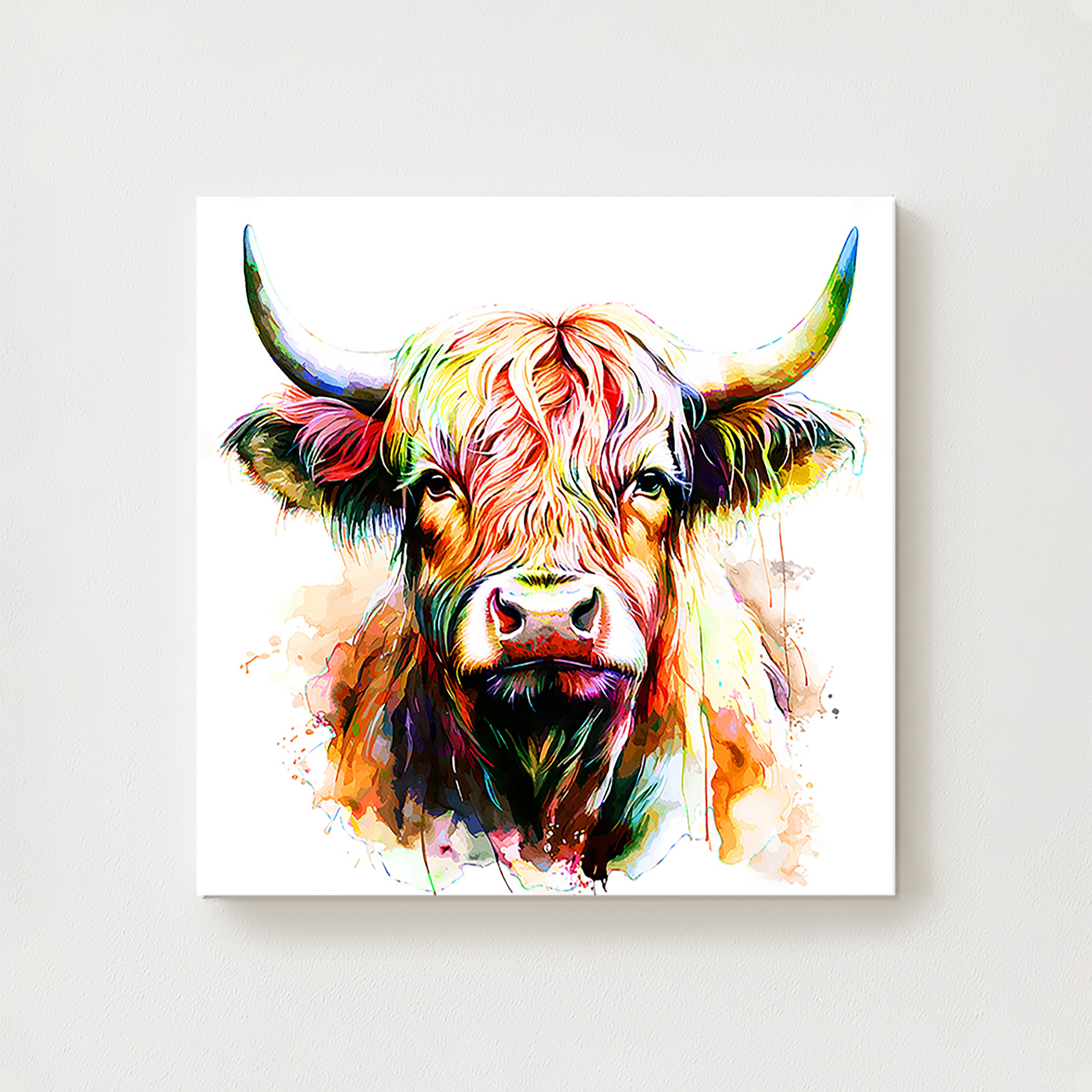 Colours Canvas
