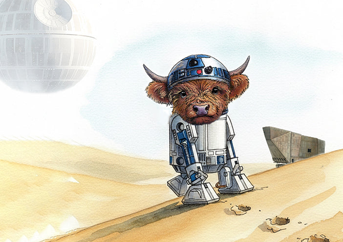 Star Moos 2027 Calendar Limited Release