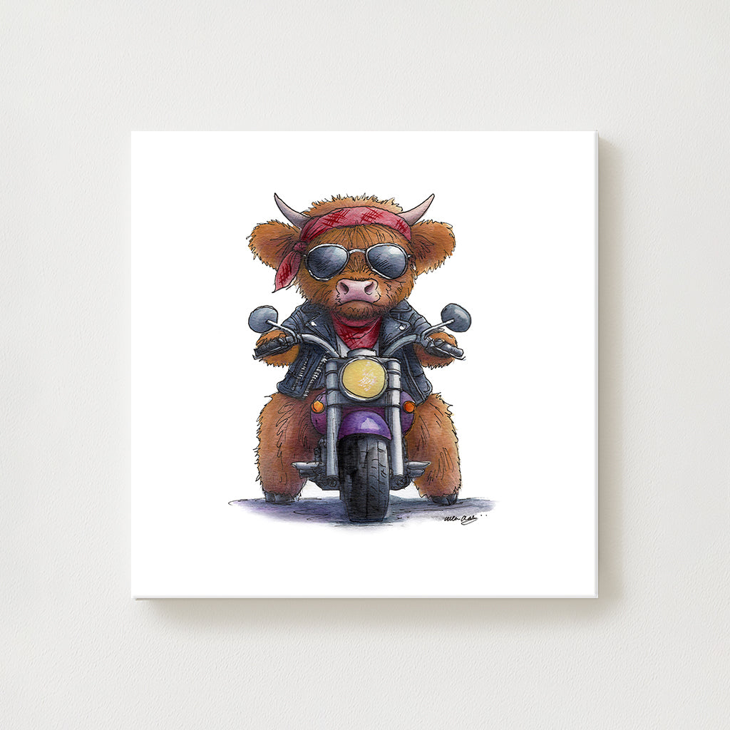 Easy Rider