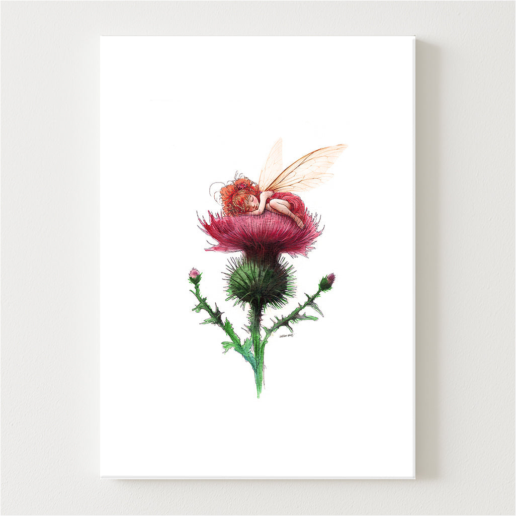 Sleepy Thistle