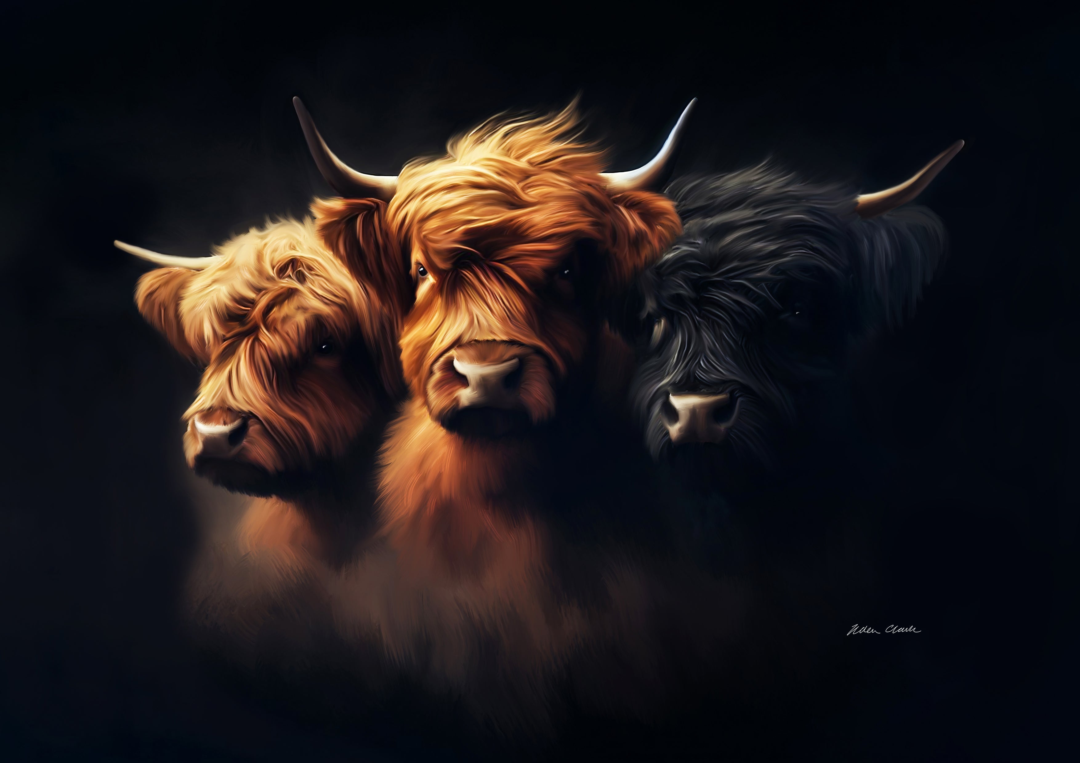 Classic Collection Canvas