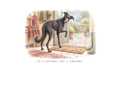 Lurcher Calendar Limited Release