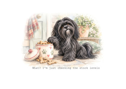 Lhasa Apso Calendar 2027 Limited Release