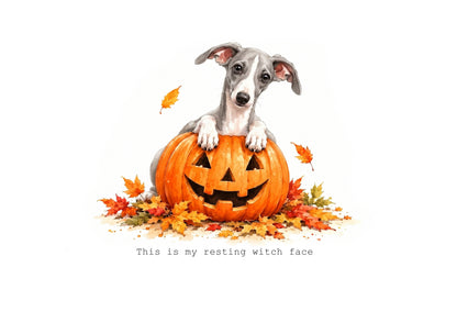 Whippet Calendar Limited Release