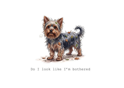 Little Yorkie Life Calendar Limited Release