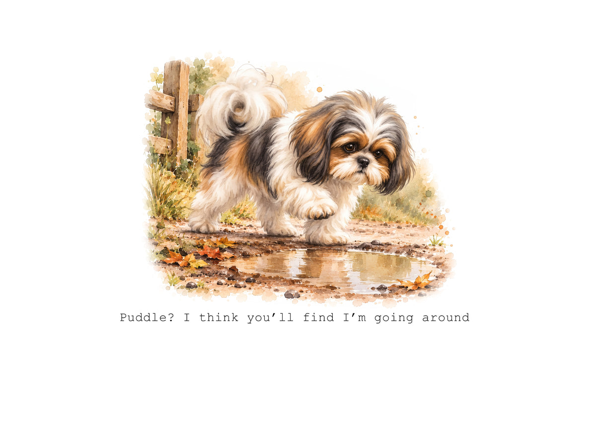 Shih Tzu Calendar Limited Release