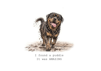 Rottweiler Hearts Calendar Limited Release