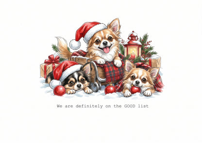 Chihuahua Chaos Calendar Limited Release