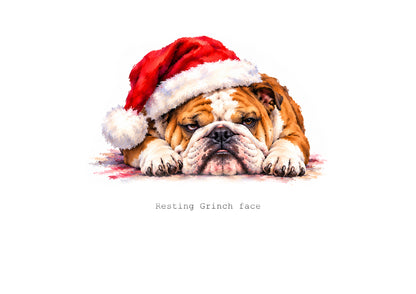 Absolutely Bulldogged Calendar Limited Release