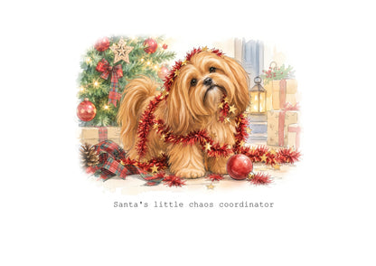 Lhasa Apso Calendar 2027 Limited Release