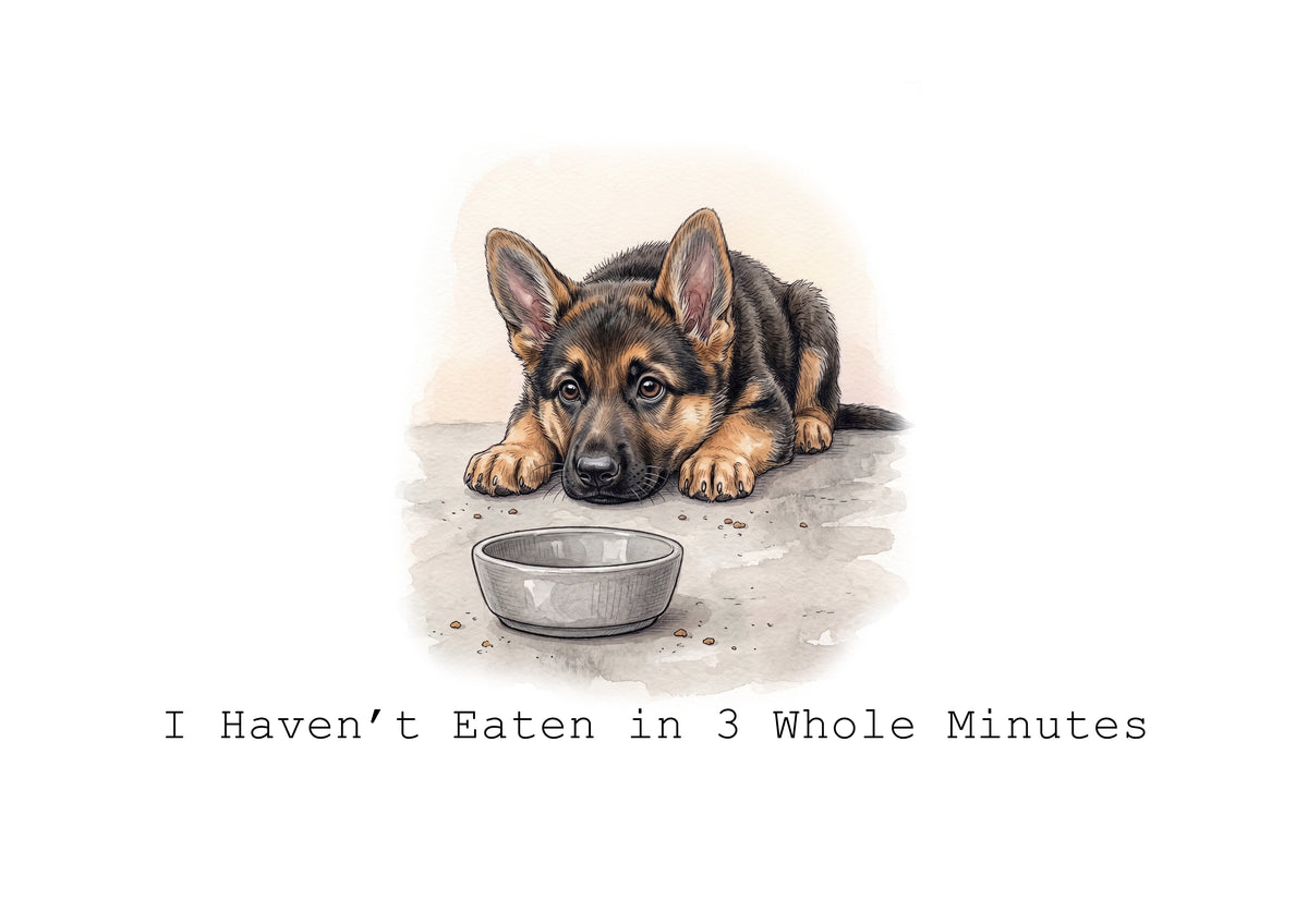Life According to a German Shepherd Calendar Limited Release